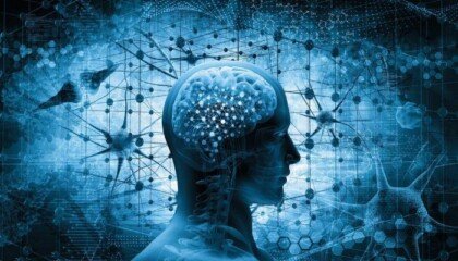 mind mapping